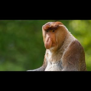 Meet your Posher, Rigoberto